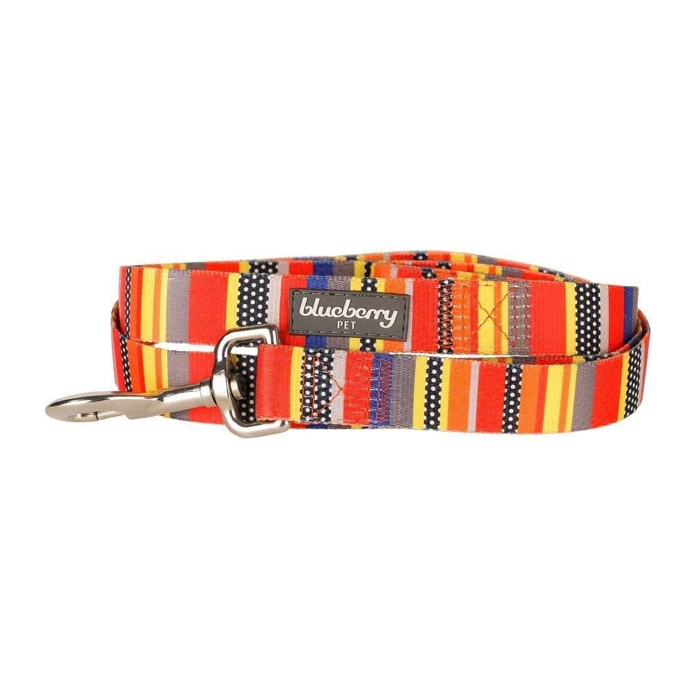 Blueberry Pet Essentials Durable Nautical Flags Inspired Designer Dog Leash 5 ft x 3/8" for Puppy X-Small Leashes for Dogs